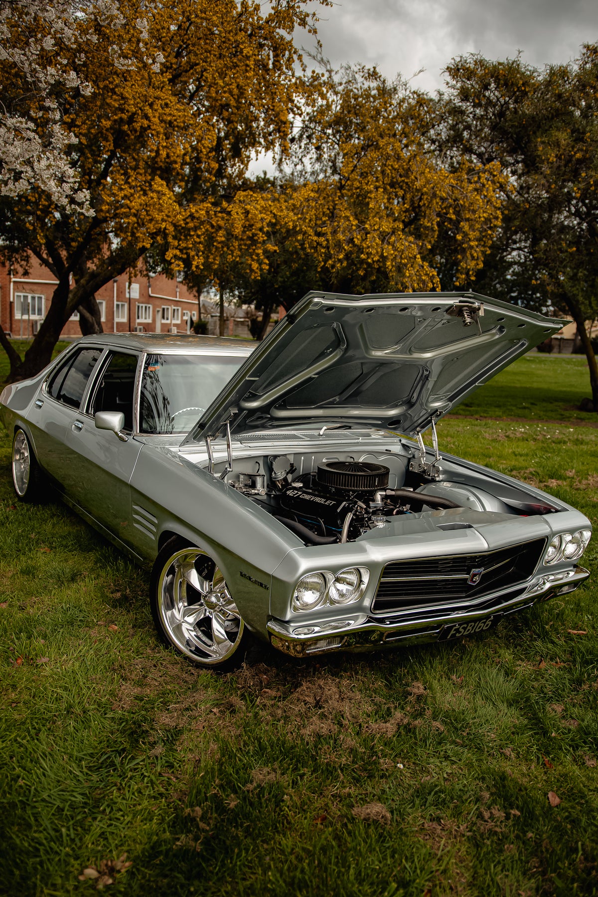Holden Premier