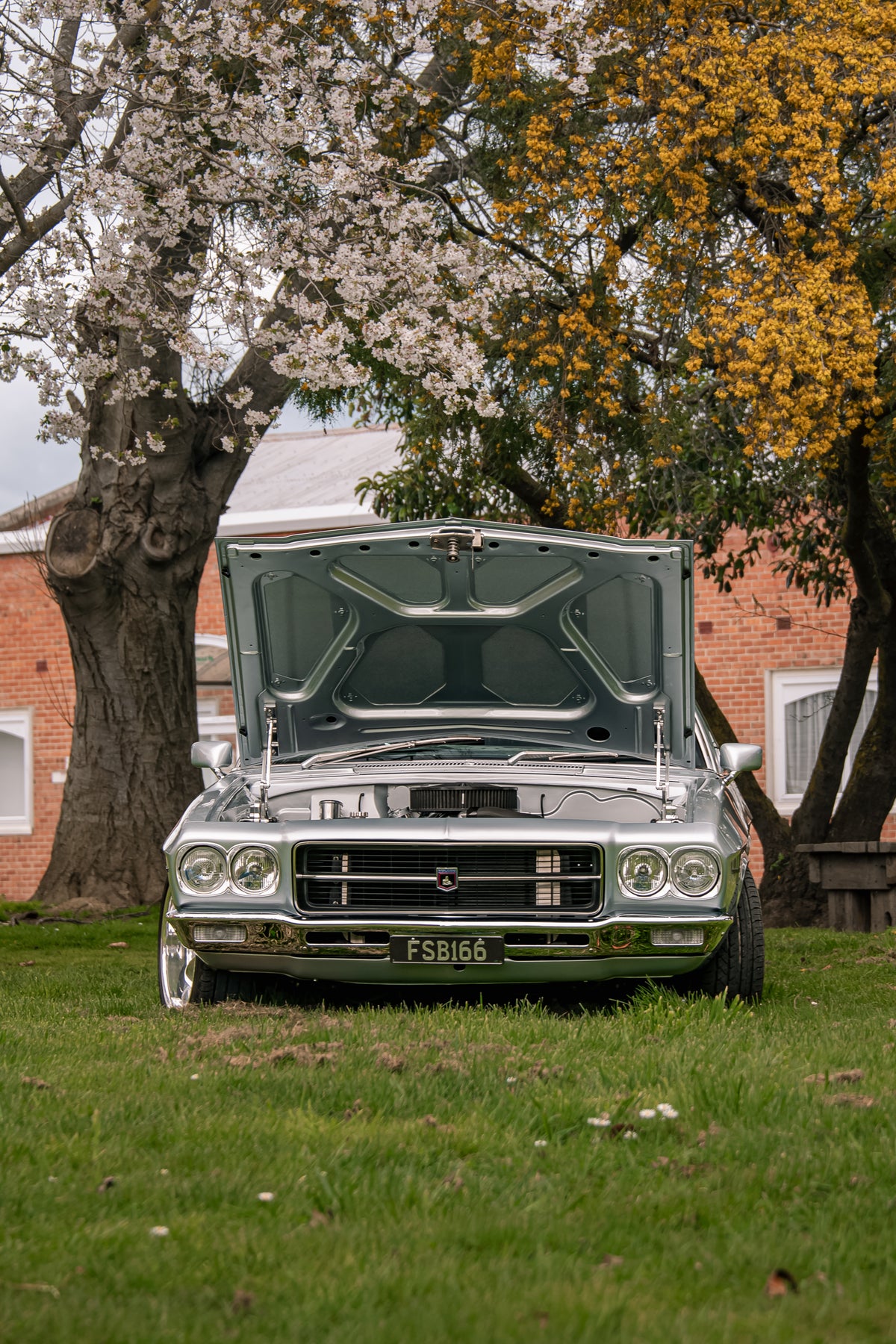 Holden Premier