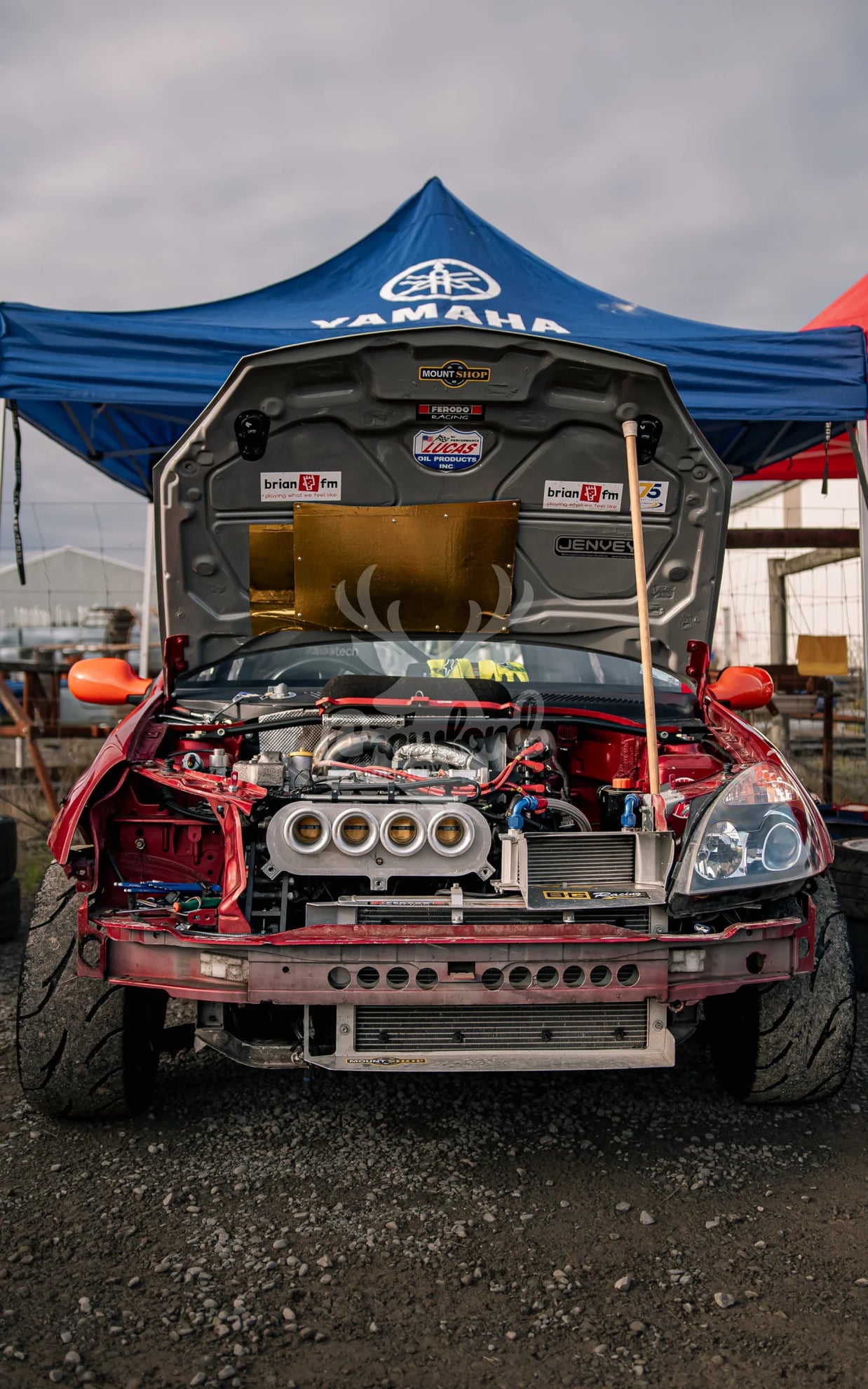 Ashburton Street Sprints 2026 #09 Renault Clio - Automotive
