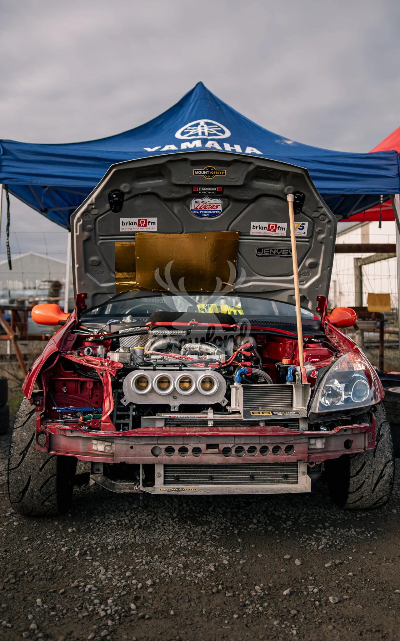 Ashburton Street Sprints 2026 #09 Renault Clio - Automotive