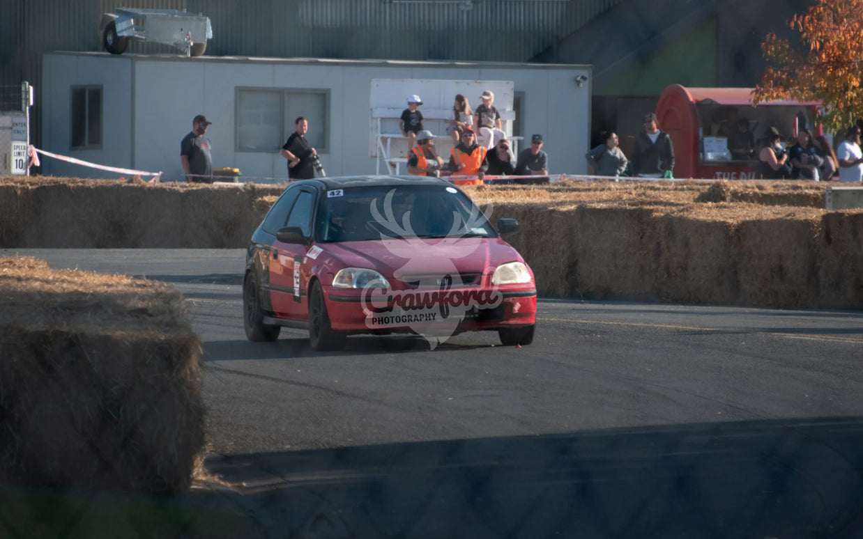 Ashburton Street Sprints 2026 #42 Honda Civic - Automotive