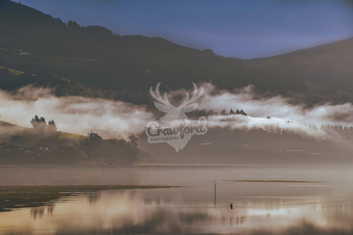 Foggy Moring