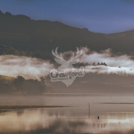 Foggy Moring