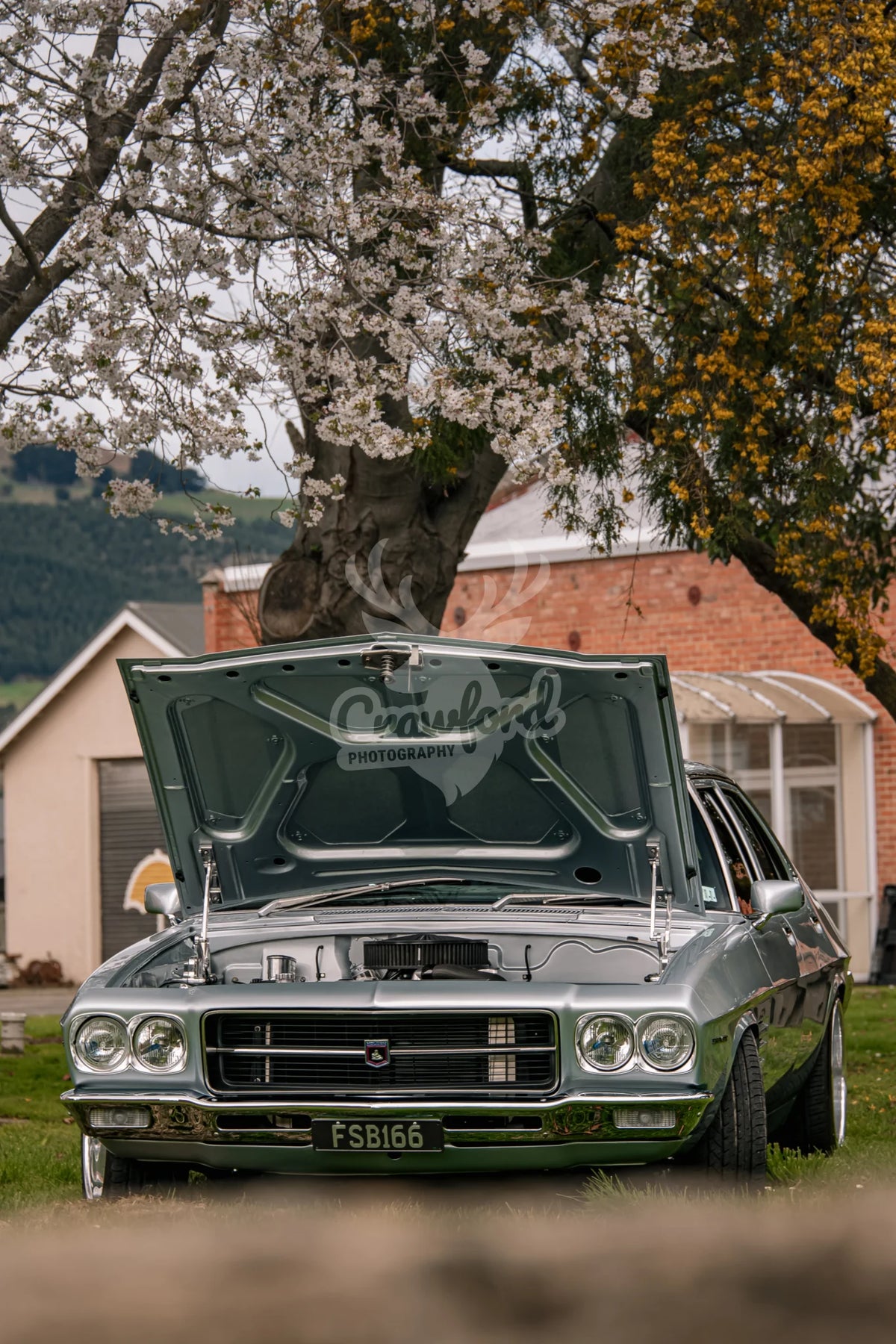 Holden Premier