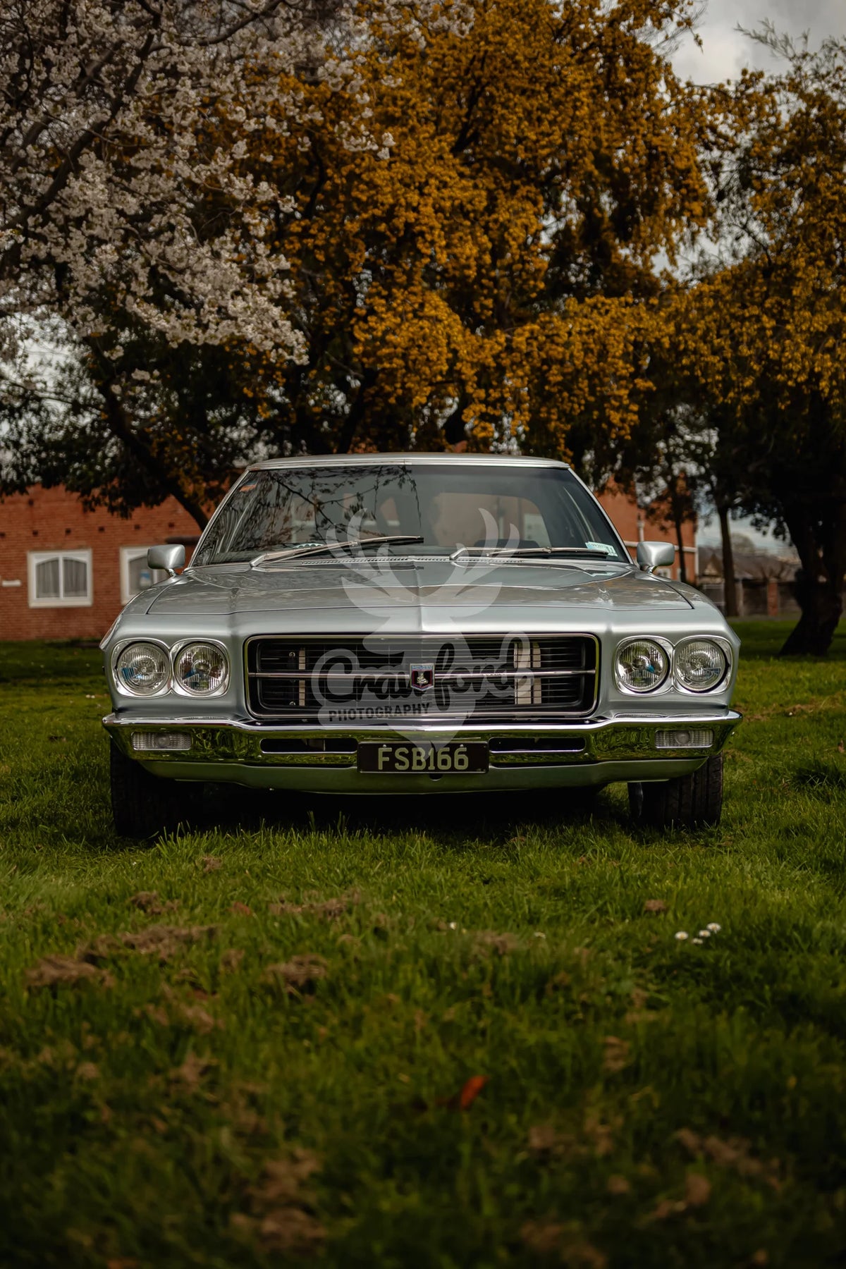 Holden Premier