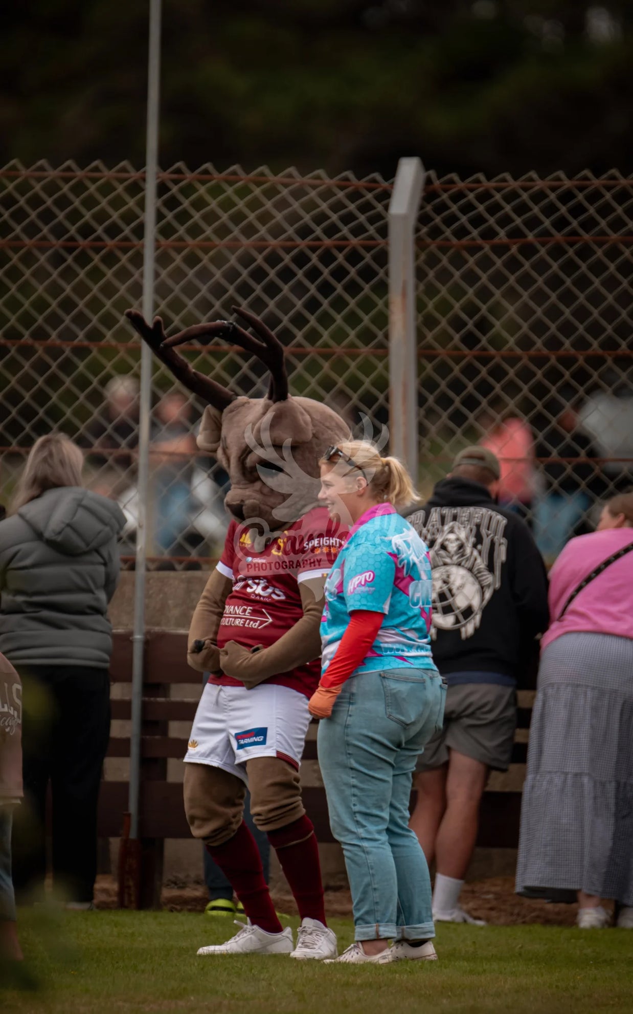 HPTO Fest Southland Stags - Automotive