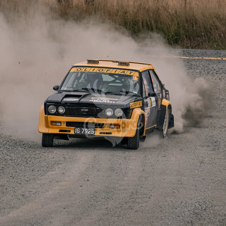 Otago rally ss5 #18c Fiat Abarth 131 - Automotive