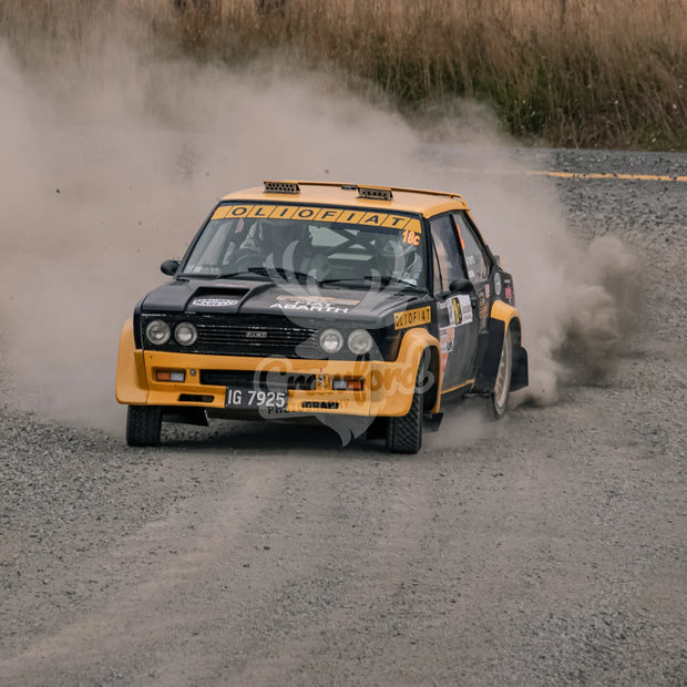 Otago rally ss5 #18c Fiat Abarth 131 - Automotive