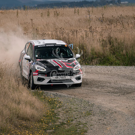 Otago rally ss5 #20 Ford Fiesta Rally4 - Automotive