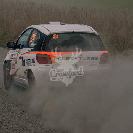 Otago rally ss5 #234 Toyota Echo - Automotive
