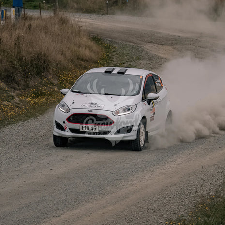 Otago rally ss5 #8 Ford Fiesta - Automotive