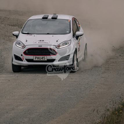 Otago rally ss5 #8 Ford Fiesta - Automotive