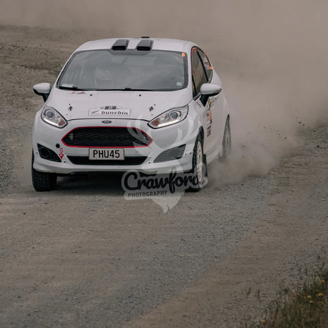 Otago rally ss5 #8 Ford Fiesta - Automotive