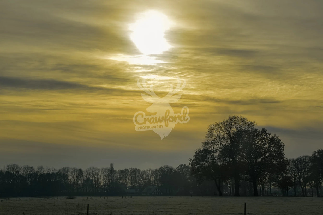 Yellow sky
