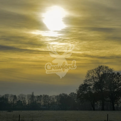 Yellow sky